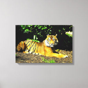 Sumatra-Tiger Tier Leinwanddruck