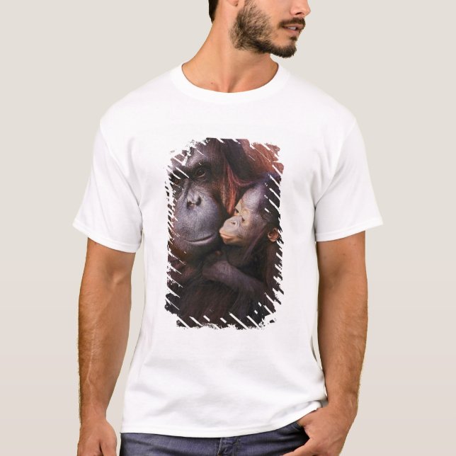 Sumatran-Orangutan-Weibchen mit Baby, Pongo T-Shirt (Vorderseite)