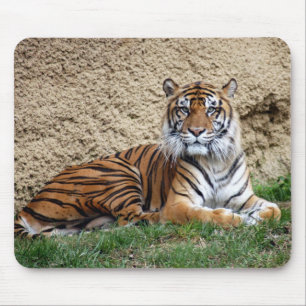 sumatran Tiger 7 Mousepad