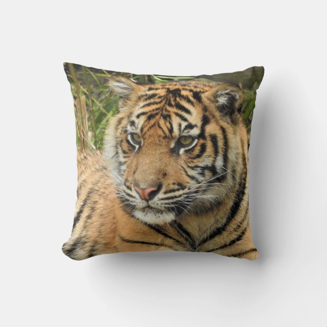 Sumatran Tiger Cub Kissen (Vorderseite)