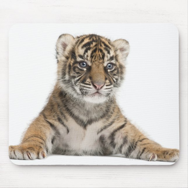 Sumatran Tiger cub - Panthera tigris sumatrae (3) Mousepad (Vorne)