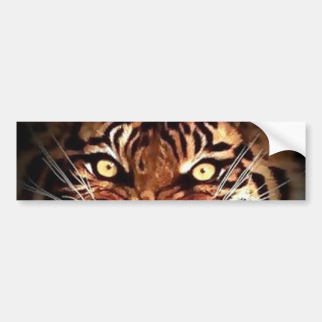 Sumatran Tiger Eyes Car Autoaufkleber (Vorne)
