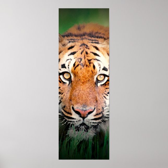 Sumatran Tiger Eyes Poster (Vorne)