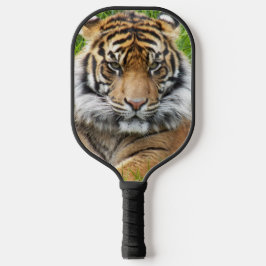 Sumatran Tiger Foto Pickleball Schläger