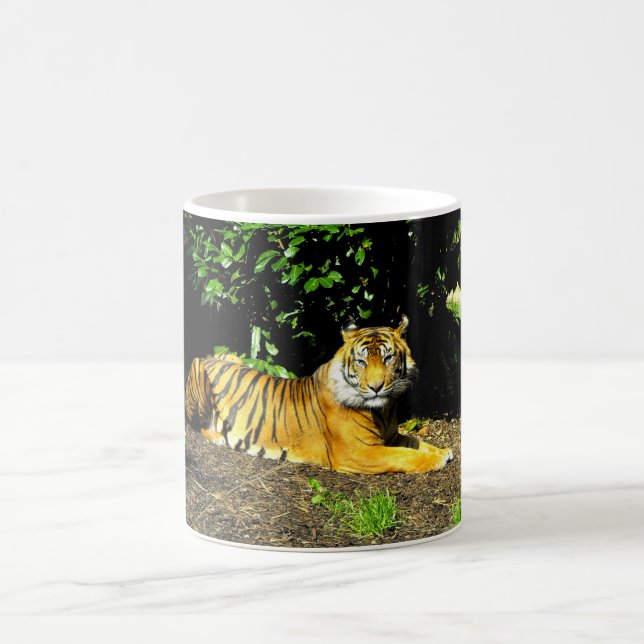 Sumatran-Tiger Kaffeetasse (Mittel)