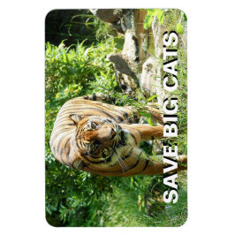 Sumatran Tiger Magnet