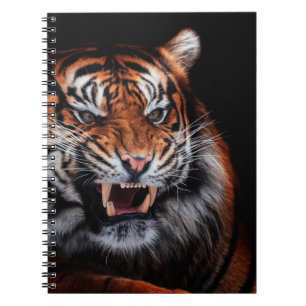 Sumatran tiger (Panthera tigris sumatrae) beautifu Notizblock