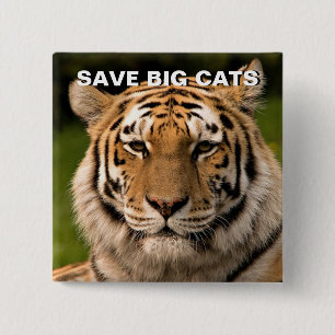 Sumatran Tiger Portrait Button