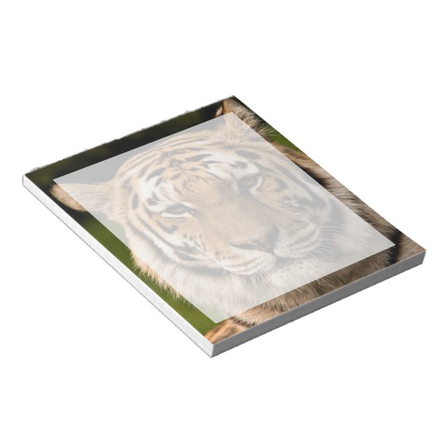 Sumatran Tiger Portrait Notizblock (angewinkelt)