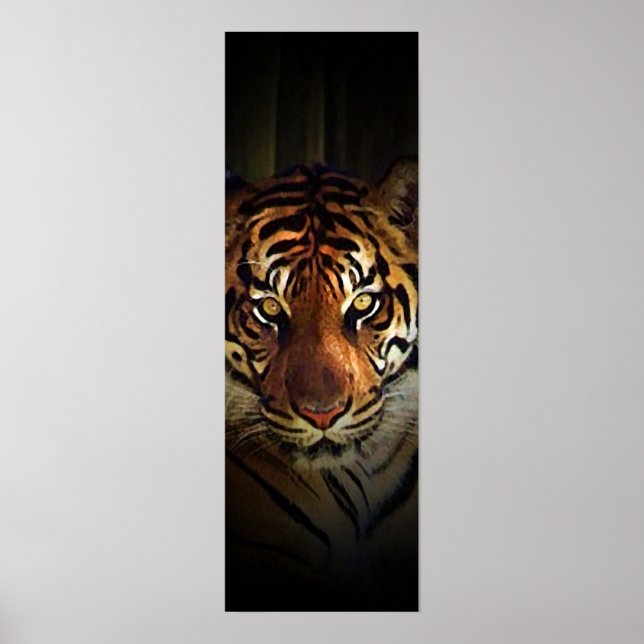 Sumatran Tiger Poster (Vorne)