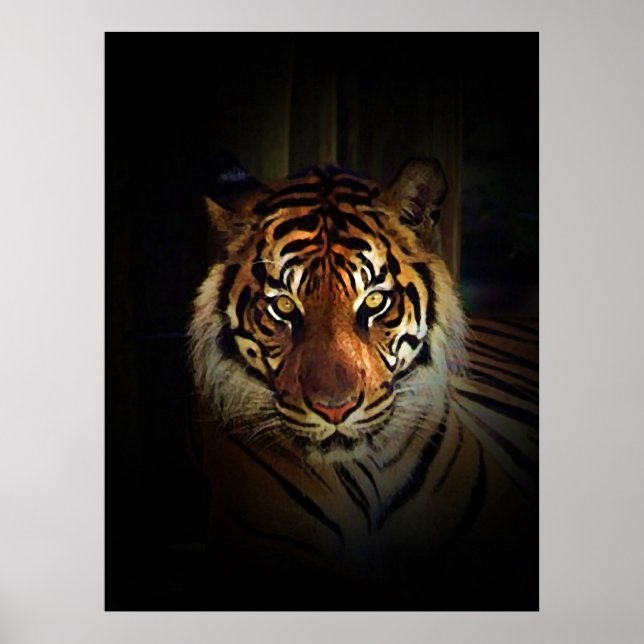 Sumatran Tiger Poster Print (Vorne)