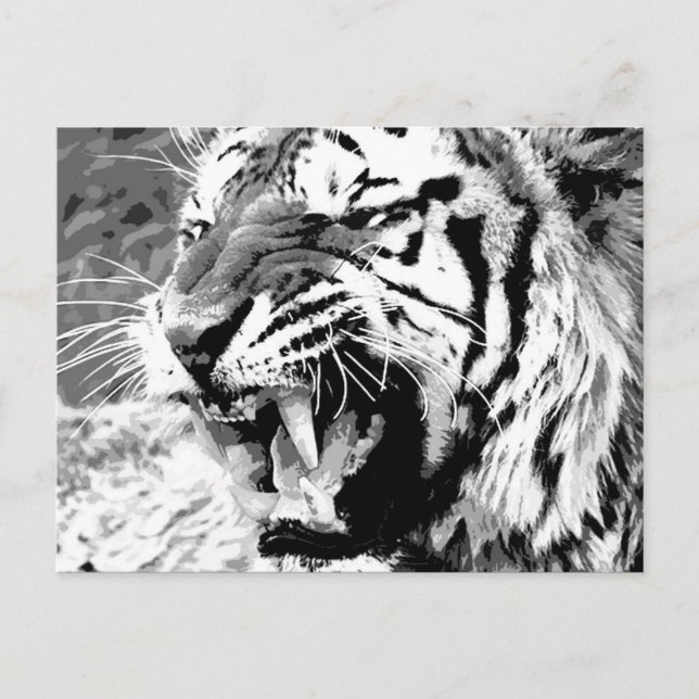Sumatran Tiger Postkarte (Vorderseite)