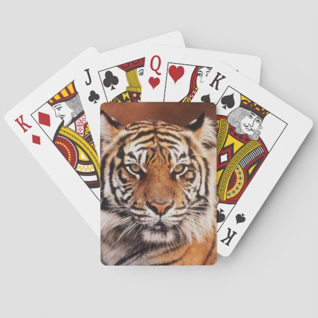 Sumatran Tiger Spielkarten (Rückseite)