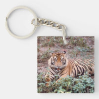Sumatran tiger Square (beidseitig) Schlüsselanhäng