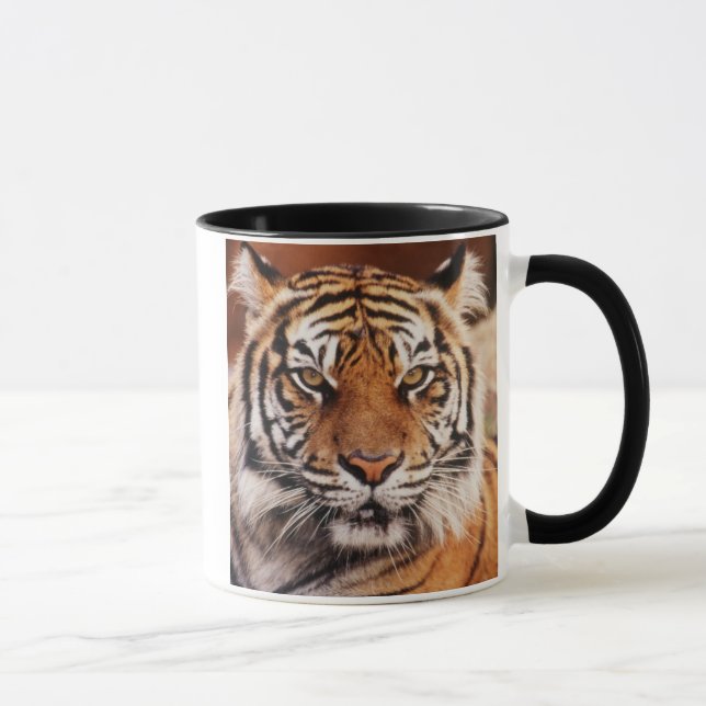 Sumatran Tiger Tasse (Rechts)
