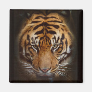 Sumatran Tiger Wildlife Big Cat Lover Foto Magnet