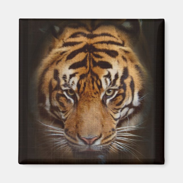 Sumatran Tiger Wildlife Big Cat Lover Foto Magnet (Vorne)