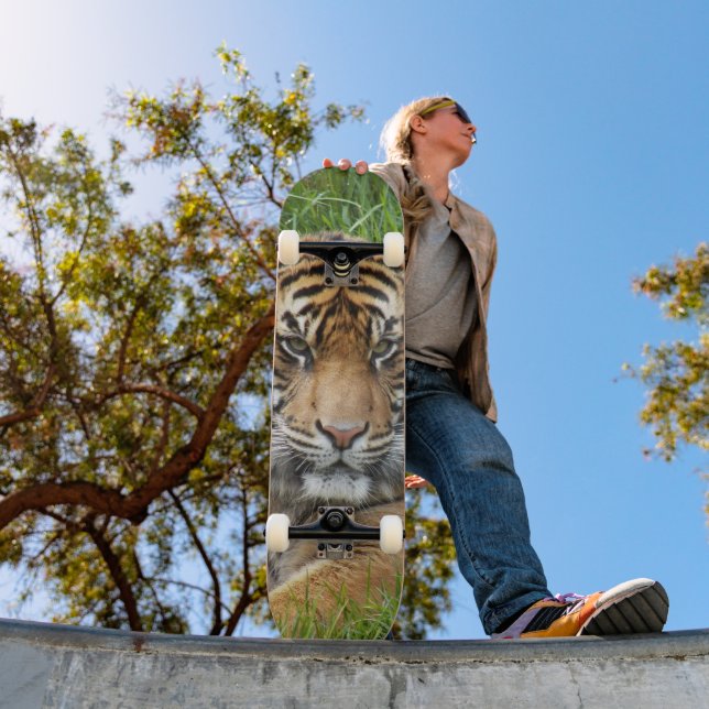 Sumatran Tiger Wildlife Foto Skateboard (Außenbereich 1)