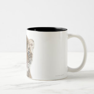 Sumatran Tigerjunges - der Pantheratigris sumatrae Zweifarbige Tasse