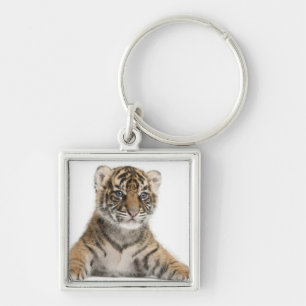 Sumatran Tigerjunges Schlüsselanhänger