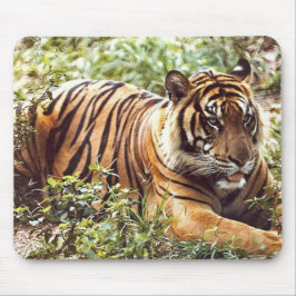 Sumatrantiger Mousepad