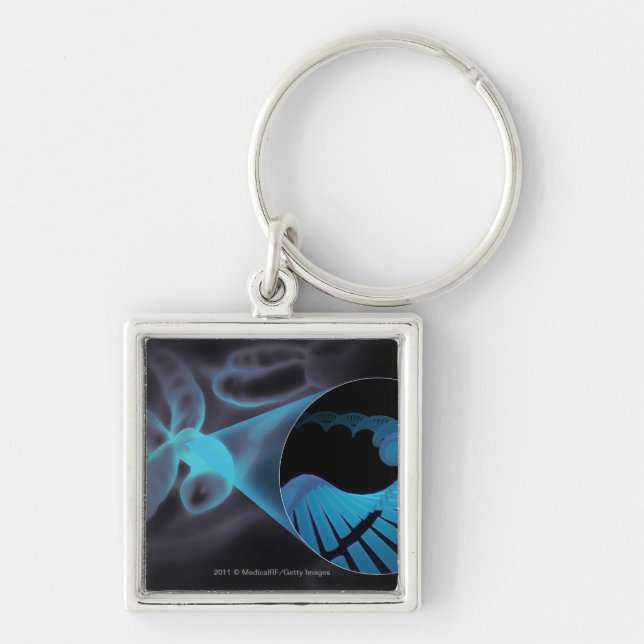 Summen Sie herein von einem DNS-Strang in einem Schlüsselanhänger (Vorne)