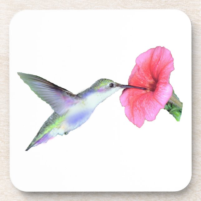 Summender Vogel-Korken-Untersetzer (6) 3.8x3.8 " Untersetzer (Vorderseite)