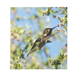 Summenvogel Notizblock