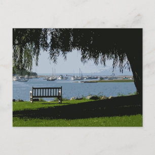 Summer Afternoon @ the Harbor Postkarte