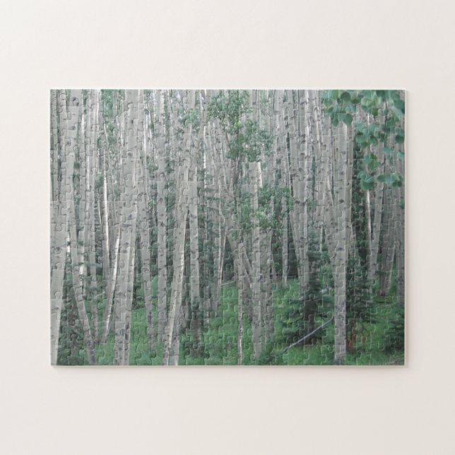 Summer Aspen Tress - 11x14 - 252 Stk Jigsaw Puzzle (Horizontal)