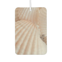Summer Beach Muscheln Ocean Tropical Heart