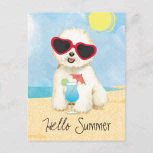 Summer Bichon Frise Postkarte