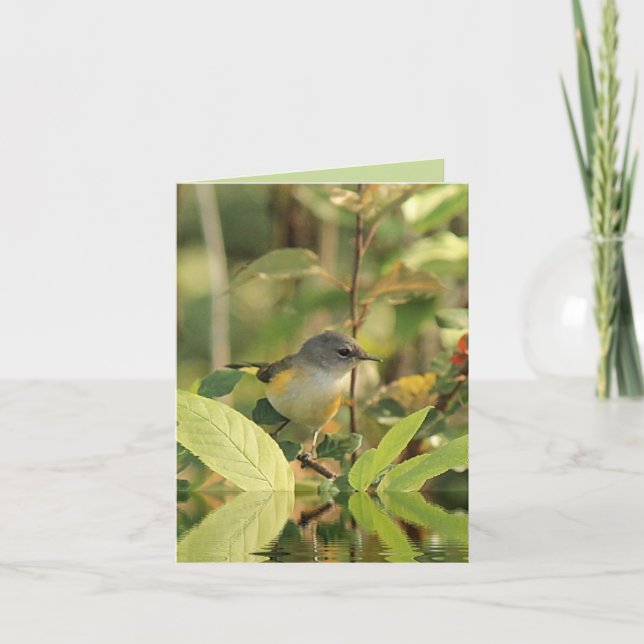 Summer Bird Note Card Karte (Vorderseite)