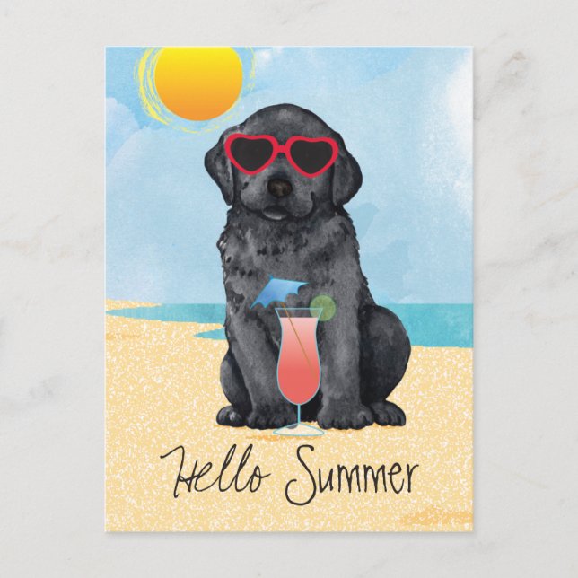 Summer Black Lab Postkarte (Vorderseite)