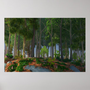 Summer Blätter Print Poster