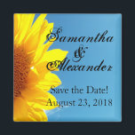 Summer Blue Sky mit gelber Sonnenblume Magnet<br><div class="desc">Schönes landschaftliches Bild von hellgelben jungen Sommersonnenblumen gegen den blauen Himmel mit weißen Wolken. Ideal für ein Hochzeitsthema im Sommer. Hochzeitseinladung und passendes Accessoire Set. © 2010 www.CustomInvitesOnline.com Dieser Artikel ist als komplette Hochzeitskollektion mit Einladungen, RSVP-Karten, Save the Dates, Magneten, Stickers, Table Platzkarten, Wedding Planning and Foto Album Binders and...</div>
