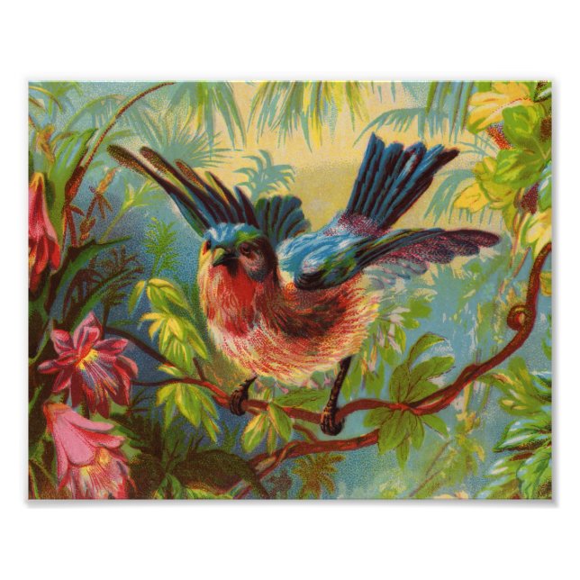 Summer Bluebird Foto Print (Vorne)