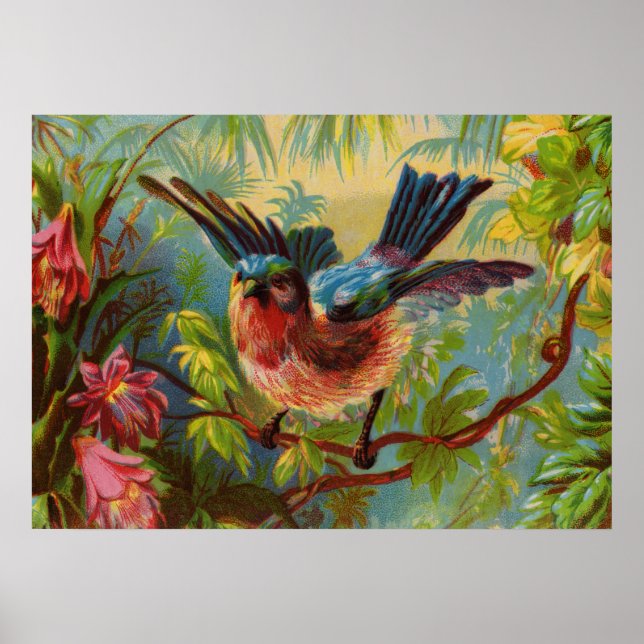 Summer Bluebird Small Poster (Vorne)