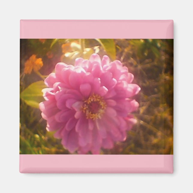 Summer Blume Carnation Magnet (Vorne)