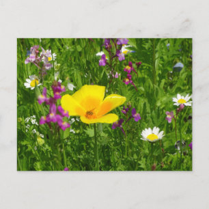 Summer Blume DIY Postcard Postkarte