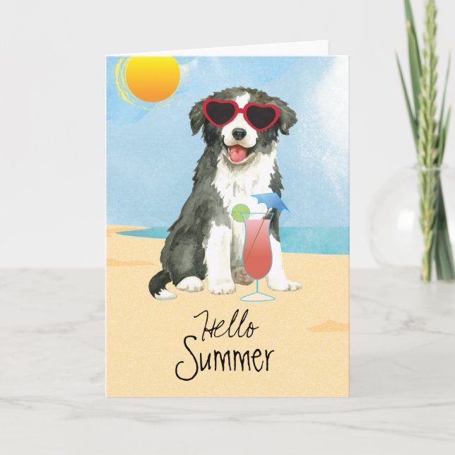 Summer Border Collie Card Karte (Vorderseite)