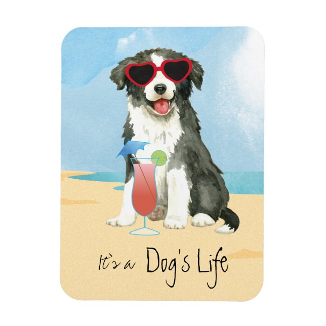 Summer Border Collie Magnet (Vertikal)