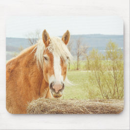 Summer Breeze Palomino Farm Horse  Mousepad