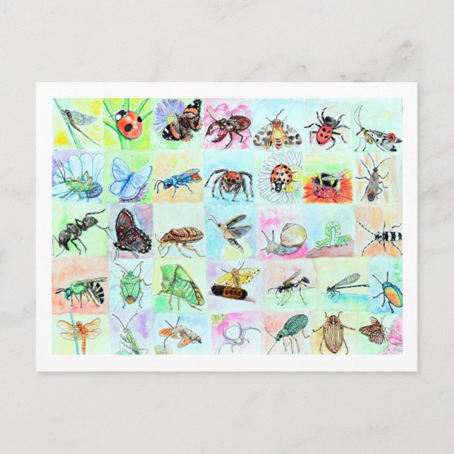Summer Buggin Collection Postkarte (Vorderseite)