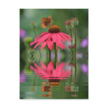 Summer Butterfly Reflection