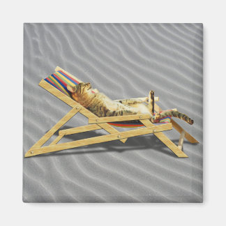 Summer Cat Nickerchen in Beach Chair mit Shadow Magnet
