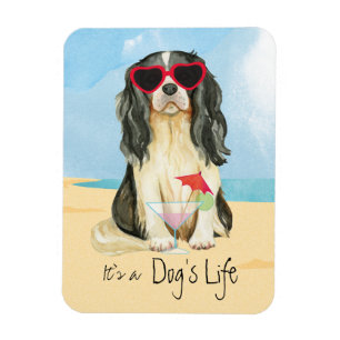 Summer Cavalier Magnet