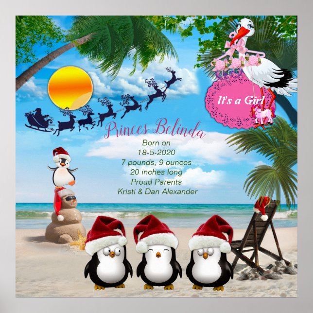 Summer Christmas Baby Dusche Poster (Vorne)