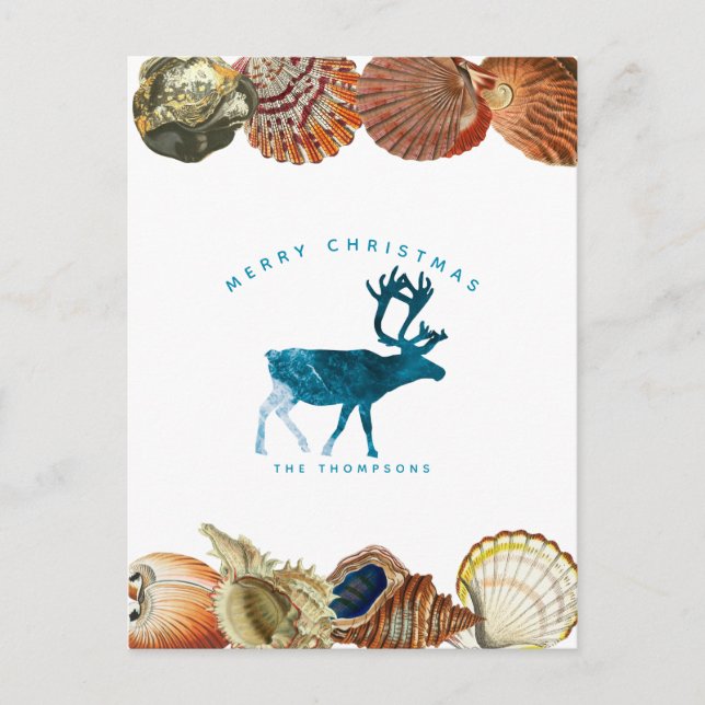 Summer Christmas Beach Seashell Reindeer Feiertagspostkarte (Vorderseite)