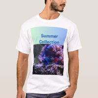 Summer Collection - Goldene Frische Pasta machen